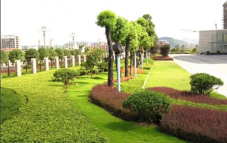 以園林綠化工程為基石，推進(jìn)城市生態(tài)高質(zhì)量發(fā)展